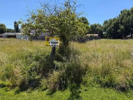 achat terrain 1 800m²