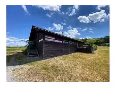 chalet à vendre à allée des closeries 199 wéris (vbc84108)