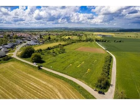 terrain viabilisé à haraucourt