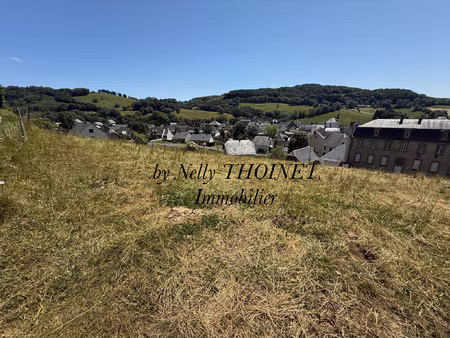 dépt.63  egliseneuve d'entraigues  terrain à bâtir de 2547 m