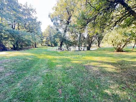 vente terrain à cholet (49300) : à vendre / 9232m² cholet