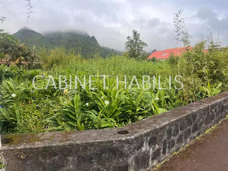 a vendre - terrain de 509 m2 environ - plaine des palmistes