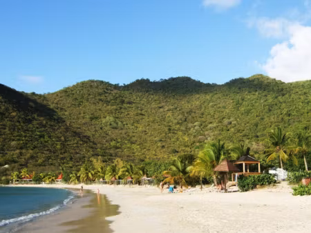 vente appartement 3 pièces 97 m² à saint-martin (97150)  479 000 €