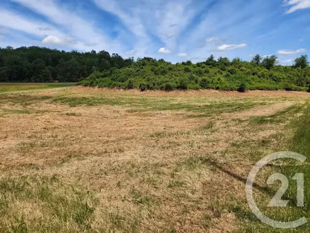 vente terrain à batir 2200 m² à saint-vincent-le-paluel (24200)  54 000 €