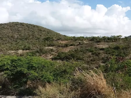 vente terrain 1030 m² à saint-martin (97150)  125 000 €