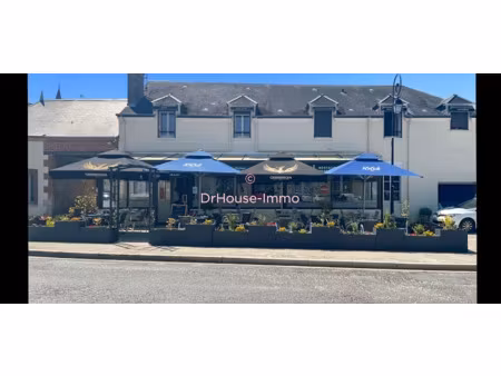 vente locaux professionnels 164 m² à châtillon-coligny (45230)  499 000 €