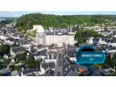 vente locaux professionnels 6 pièces 100 m² à langeais (37130)  234 000 €