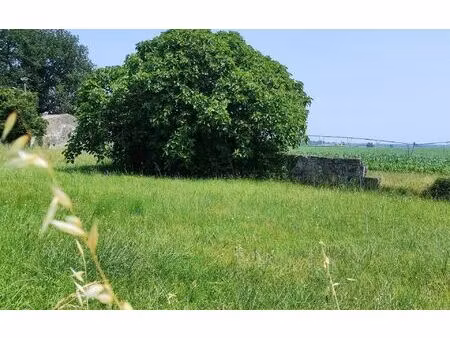 terrain rioux m² t- à vendre  48 200 €