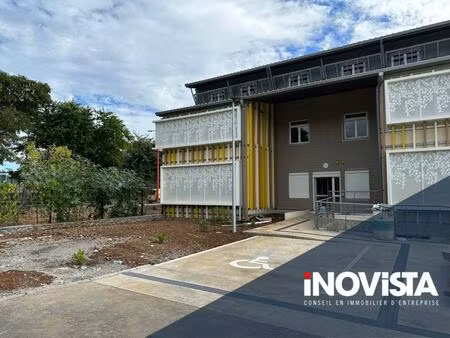 a vendre  eucalyptus