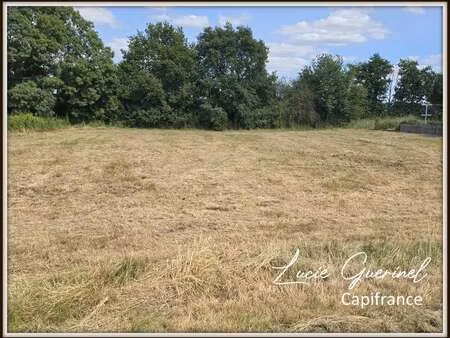 vente terrain à moisdon-la-rivière (44520) : à vendre / 1709m² moisdon-la-rivière