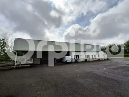 local d'activite / entrepot a louer