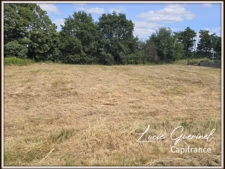 en vente terrain constructible 17 09 ares – 50 500 € |moisdon-la-rivière