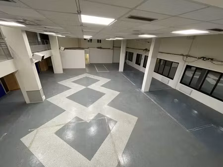 mixte activites-bureaux a louer