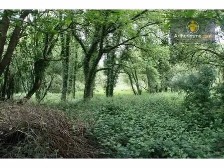 vente terrain 53650 m2 à crédin