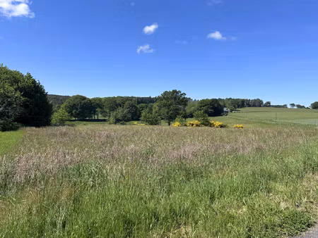 achat terrain 2 451m² mercoeur 19430