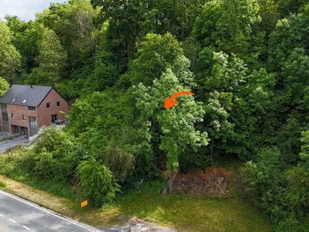 terrain à vendre à sougné-remouchamps € 65.000 (l93gi) - schmidtimmo | zimmo