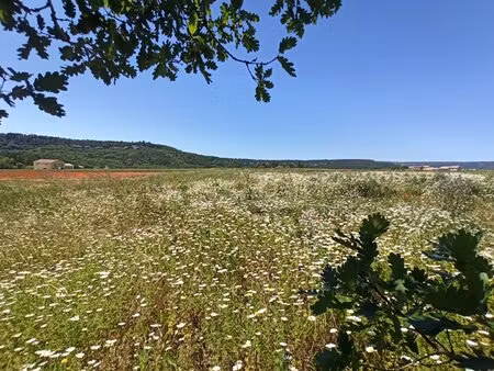 achat terrain 6 592m² goult 84220