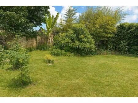 terrain constructible