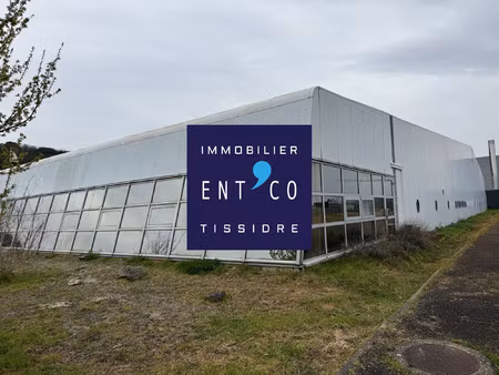 location local professionnel 142m² estillac 47310