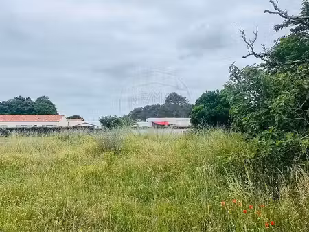 vente terrain les mathes 17570 - - surface privée