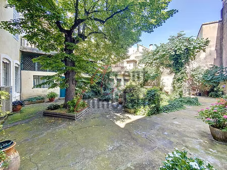 a vendre immeuble au centre ville de cavaillon de plus de 380m² habitables  un jardin avec