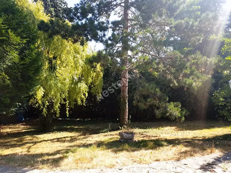 terrain torcy 396 m2