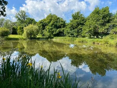 vente terrain 5650 m² mers-sur-indre (36230)