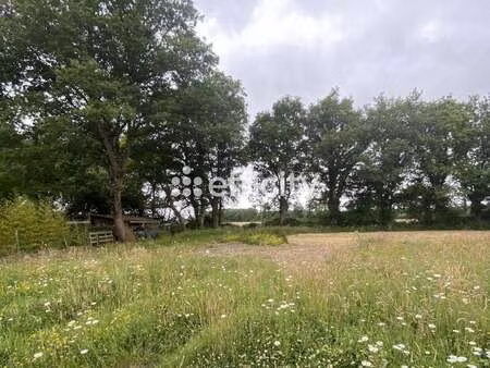 vente terrain au cellier (44850) : à vendre / 706m² le cellier