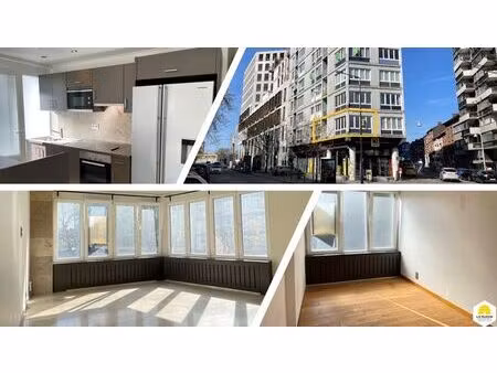 bel appartement lumineux et rénové de 49m²  1 chambre