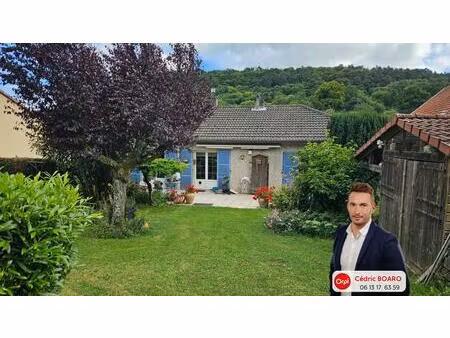vente maison 6 pièces 120 m² norroy-le-veneur (57140)