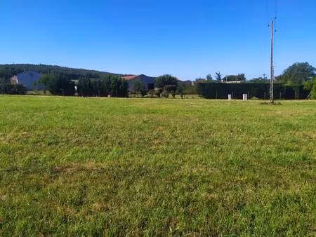 vente terrain 835 m² escoussens (81290)