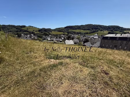 vente terrain à egliseneuve-d'entraigues (63850)  19 000 €