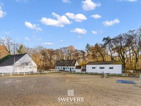 terrain à vendre à zolder € 1.390.000 (kkrcq) - swevers real estate | zimmo