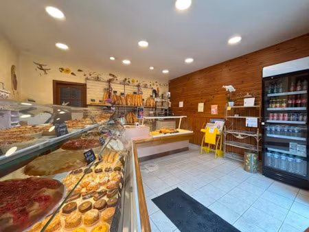 vente locaux professionnels 255 m² à lent (01240)  166 333 €