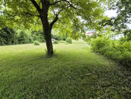 vente terrain à bâtir 2 600 m²