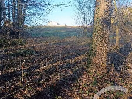 terrain à vendre - 4223 m2 - vatry - 51 - champagne-ardenne