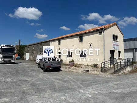 local d'activité à vendre - mauleon 390 m2