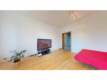 mulhouse | grand appartement + jardin privatif