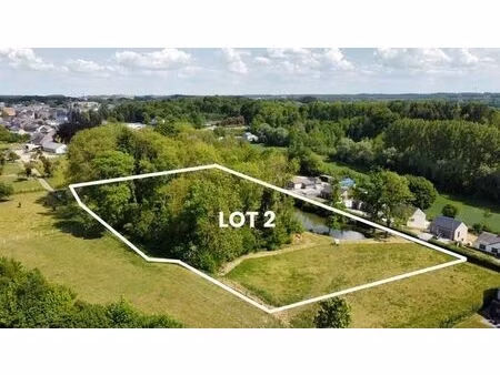 terrain 1 ha avec étang et bois à vendre à florennes