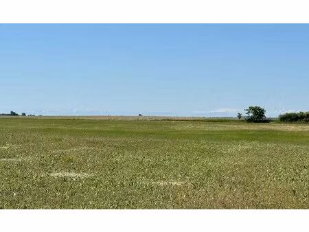 terrain constructible