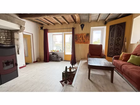 grande maison de village rénovée avec dépendance et jardin