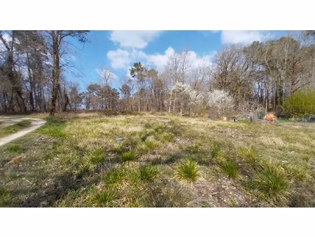 terrain constructible 3600 m2 défriché à chancelade