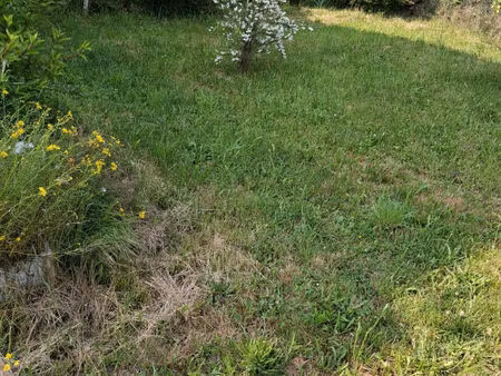 vente commerce 292 m² saint-ferréol-d'auroure (43330)