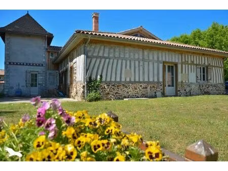 vente maison 11 pièces 495 m² allons (47420)