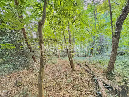 unique à vendre à vauhallan : terrain + bois privé avec possibilité d'agrandir via parcell