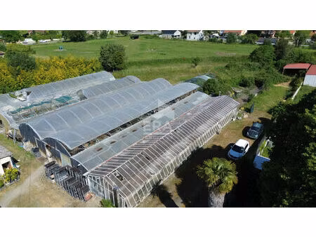 vente terrain rabastens de bigorre 4000m²