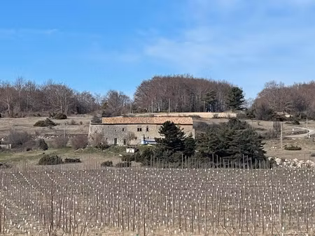 à vendre – château à rénover sur domaine de 100 hectares