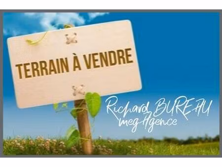 grand terrain constructible