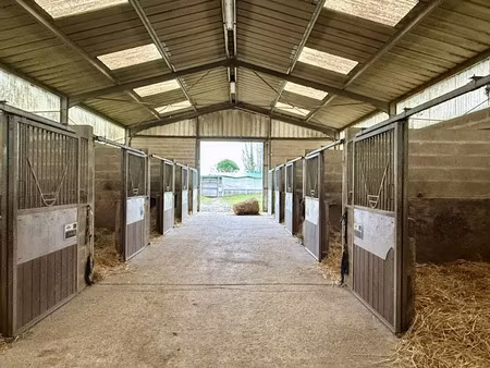 vente maison 21 pièces 540 m² à chenoise (77160)  450 000 €