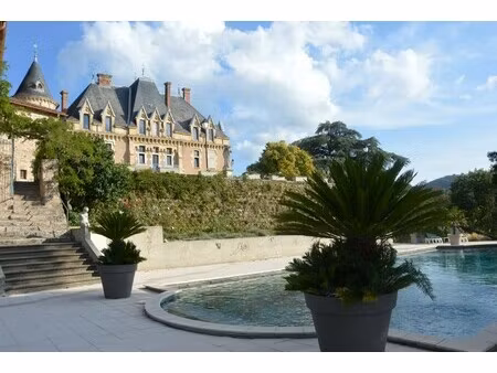 château à vendre à vernoux-en-vivarais